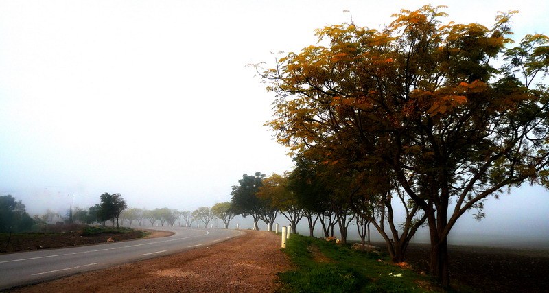 Fotografía por seethingsclear para DesignCrowd (Community Contests) | Diseño #8970107