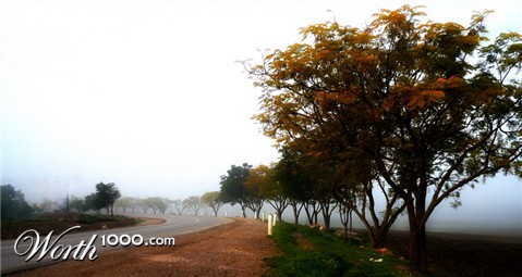 Photography by seethingsclear