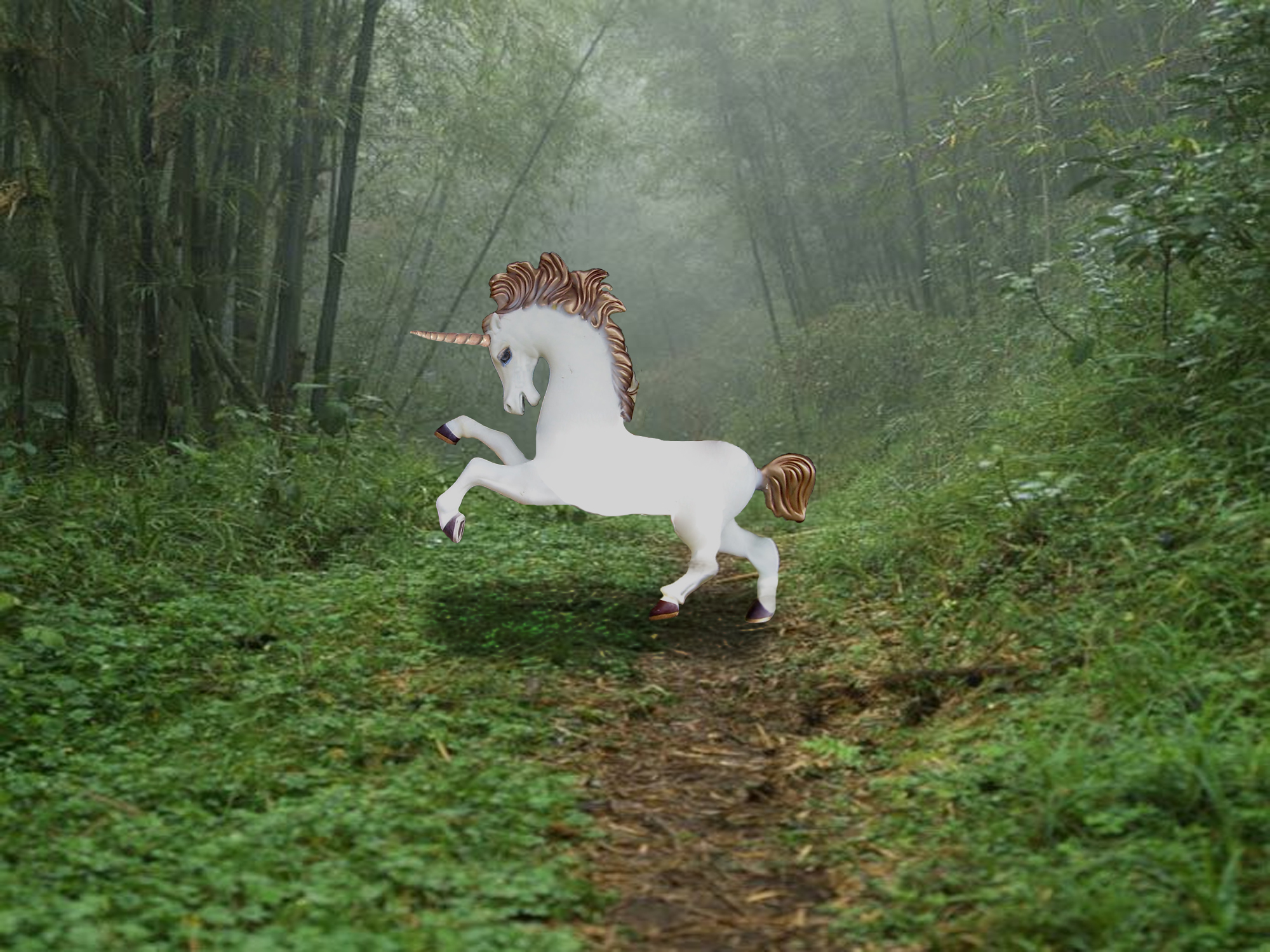 Diseño de Photoshop por Candlelightchaos para DesignCrowd (Community Contests) | Diseño #8976915