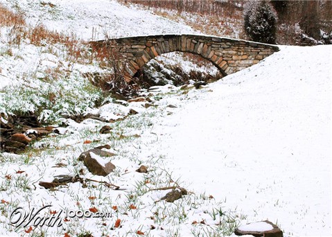 Photography by Tyssen