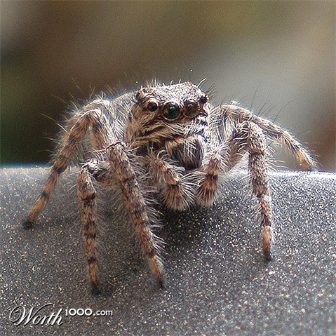 Photography by amirbse