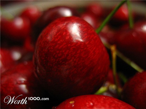 Photography by Kristute