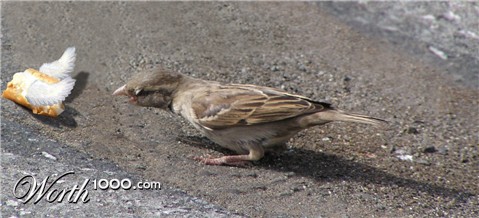 Photoshop Design by lachie1134