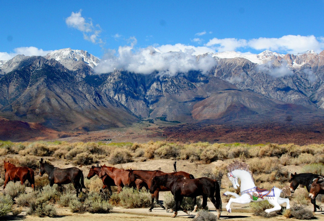 Photoshop Design by dogboy44 for DesignCrowd (Community Contests) | Design #8976949