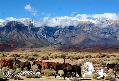 Photoshop Design by dogboy44