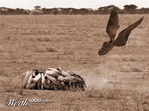 Photoshop Design by dvs4ua