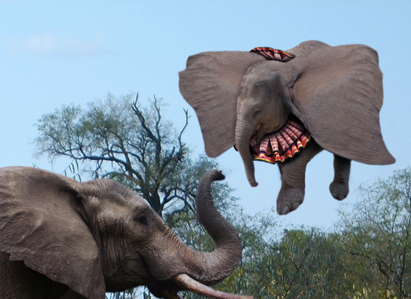 Design Photoshop par lucimine pour DesignCrowd (Community Contests) | Design #8973143