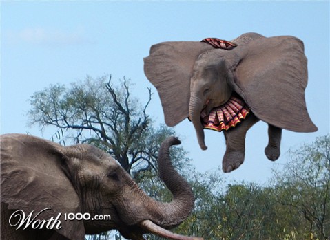 Photoshop Design by lucimine