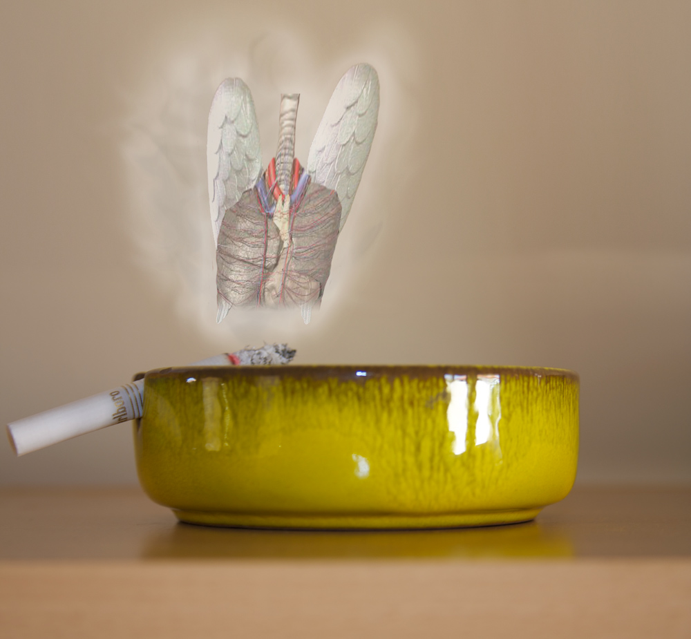 Design Photoshop par erguille pour DesignCrowd (Community Contests) | Design #8969580