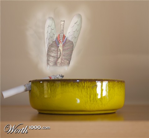 Photoshop Design by erguille
