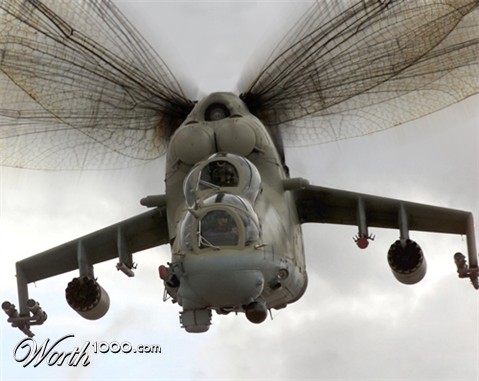 Photoshop Design by fcuetoq