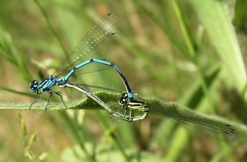 Fotografie von mzmzmzmz für DesignCrowd (Community Contests) | Design #8968675