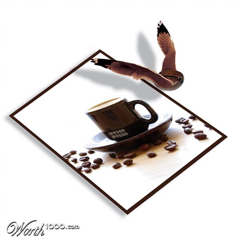 Photoshop Design by Imamami