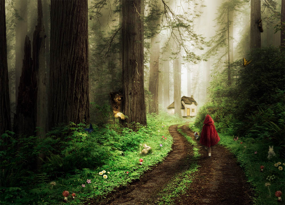 Diseño de Photoshop por Bebo21 para DesignCrowd (Community Contests) | Diseño #8973148