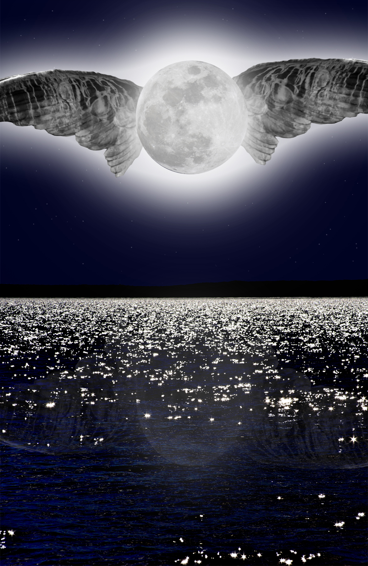 Photoshop Design by jehsantana for DesignCrowd (Community Contests) | Design #8969584