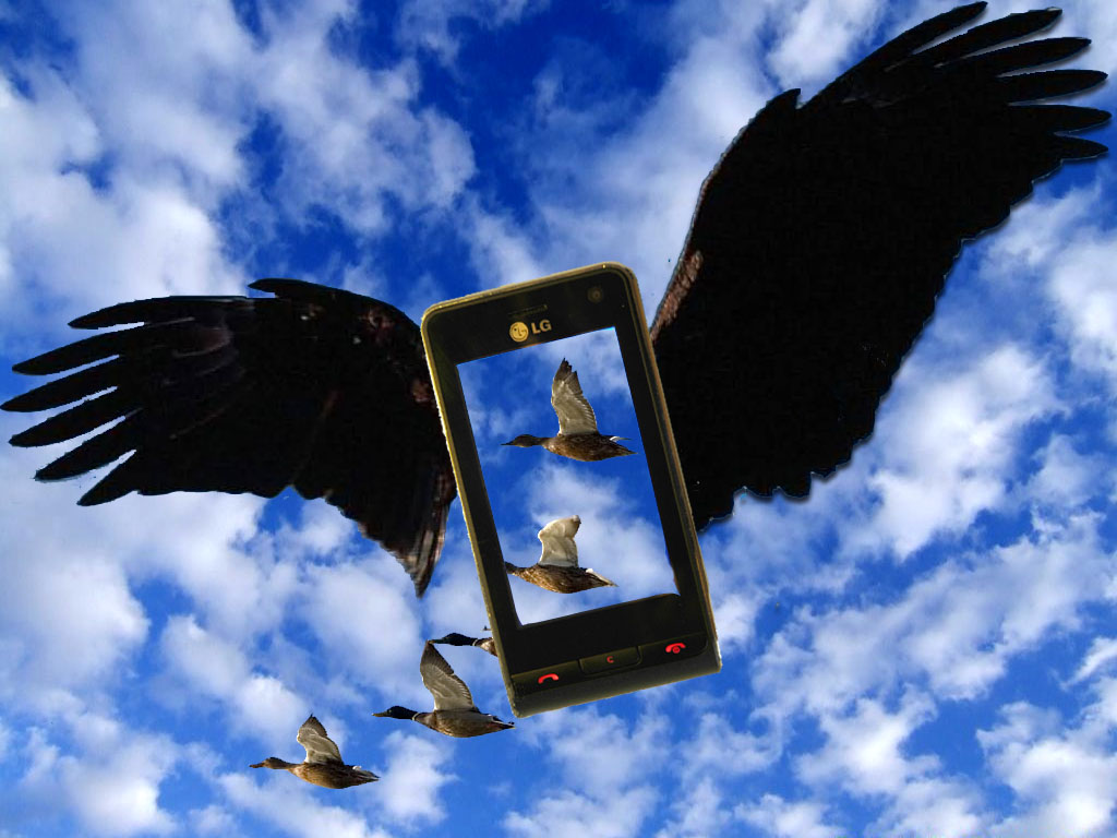 Diseño de Photoshop por surgeAA para DesignCrowd (Community Contests) | Diseño #8969769