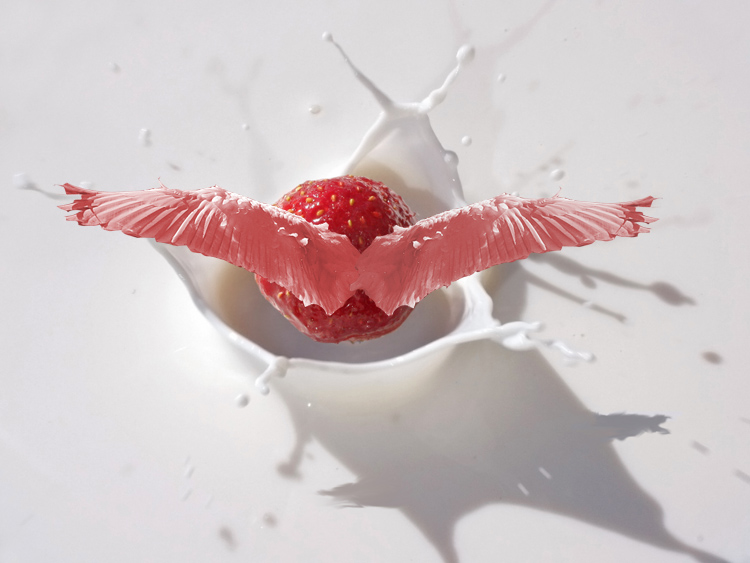 Photoshop Design by gloobella for DesignCrowd (Community Contests) | Design #8969738