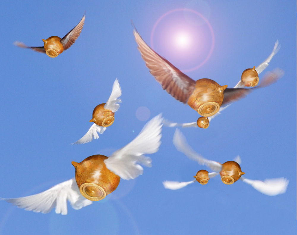 Photoshop Design by Ideesse for DesignCrowd (Community Contests) | Design #8969716