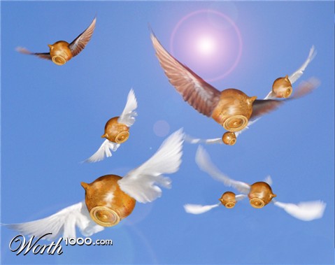 Photoshop Design by Ideesse