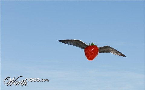 Photoshop Design by ozrockchick