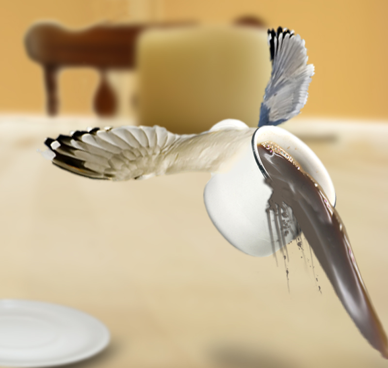 Photoshop Design by lucimine for DesignCrowd (Community Contests) | Design #8969726