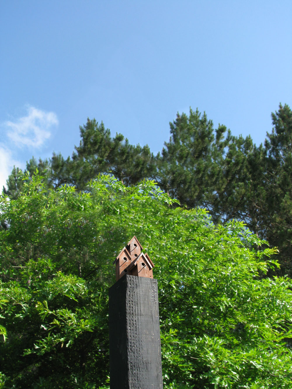 Photoshop Design by Bmayaa for DesignCrowd (Community Contests) | Design #8972423