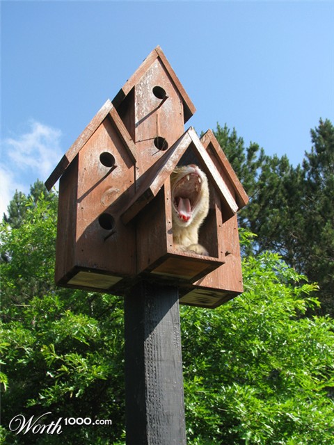 Photoshop Design by fcuetoq