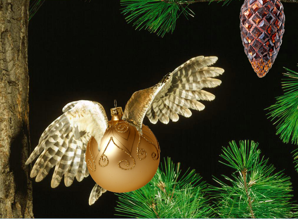 Photoshop Design by pisapdales for DesignCrowd (Community Contests) | Design #8969692