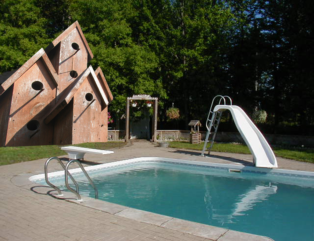 Photoshop Design by dhallfxs for DesignCrowd (Community Contests) | Design #8972495