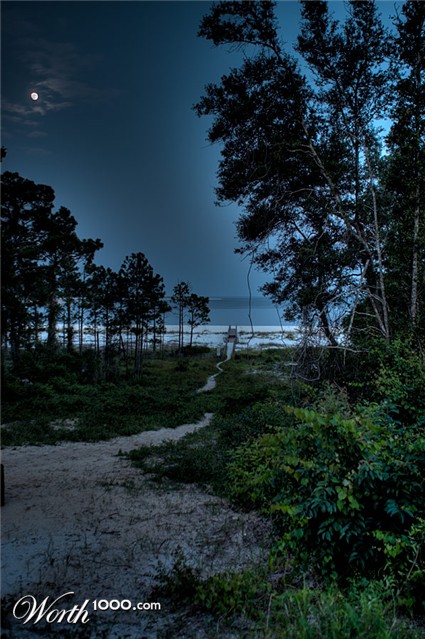 Photography by maddogg54