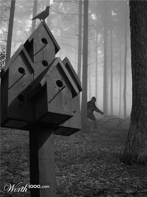 Photoshop Design by PseudoEvolution