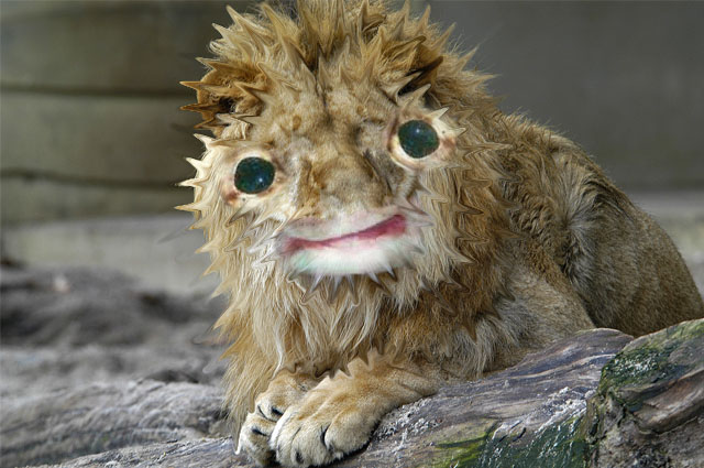 Diseño de Photoshop por KusoPS para DesignCrowd (Community Contests) | Diseño #8976022