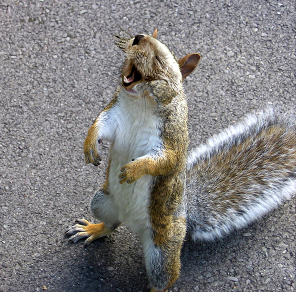 Photoshop Design by studiotexsmyth for DesignCrowd (Community Contests) | Design #8976042