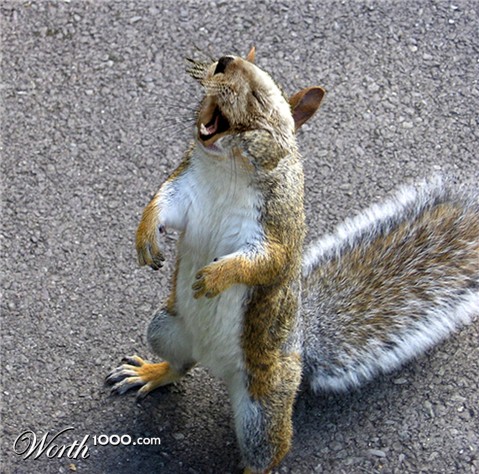 Photoshop Design by studiotexsmyth