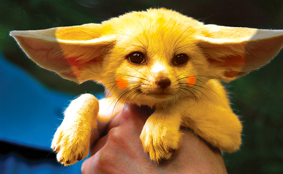 Photoshop Design by alyens1985 for DesignCrowd (Community Contests) | Design #8971671