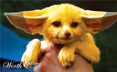 Photoshop Design by alyens1985