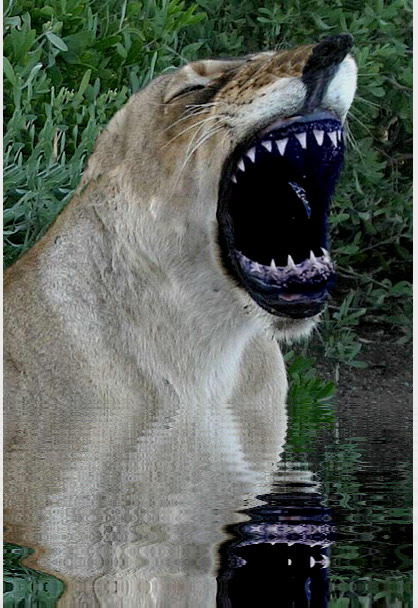 Photoshop Design by Guardian4J for DesignCrowd (Community Contests) | Design #8976032