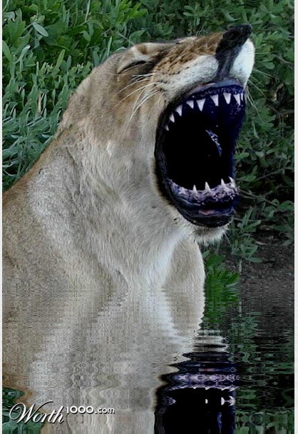 Photoshop Design by Guardian4J