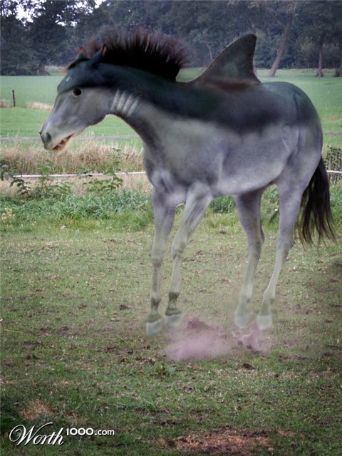 Photoshop Design by Bmayaa