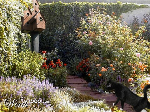 Photoshop Design by mictina