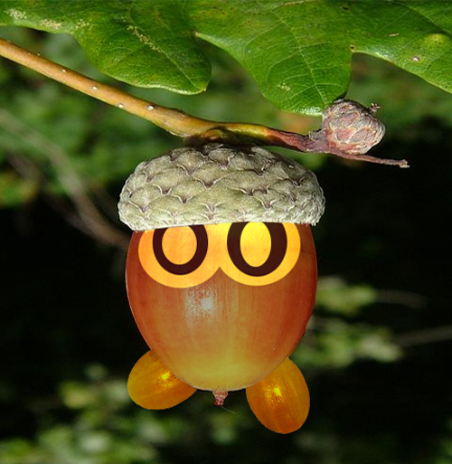 Photoshop Design by sukritact for DesignCrowd (Community Contests) | Design #8971695