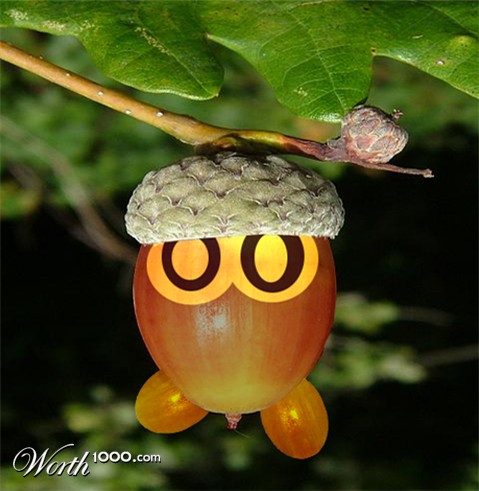 Photoshop Design by sukritact