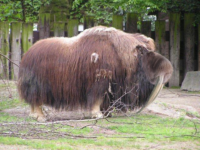 Diseño de Photoshop por abigael para DesignCrowd (Community Contests) | Diseño #8976047