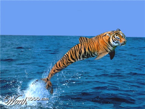 Photoshop Design by EKelman