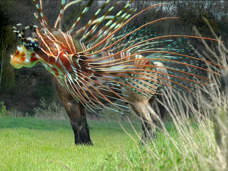 Design Photoshop par colleague pour DesignCrowd (Community Contests) | Design #8976051