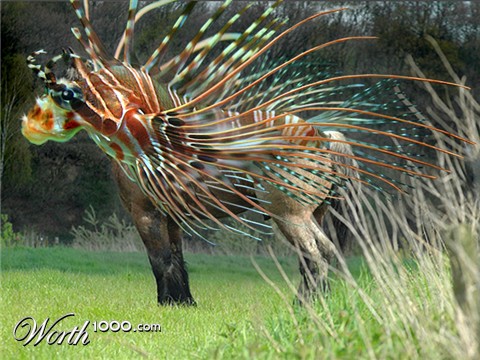 Photoshop Design by colleague