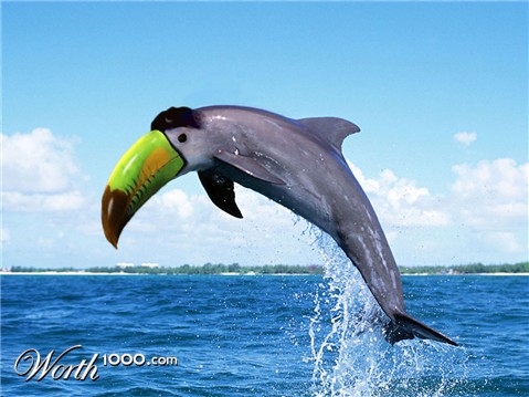 Photoshop Design by ktlong