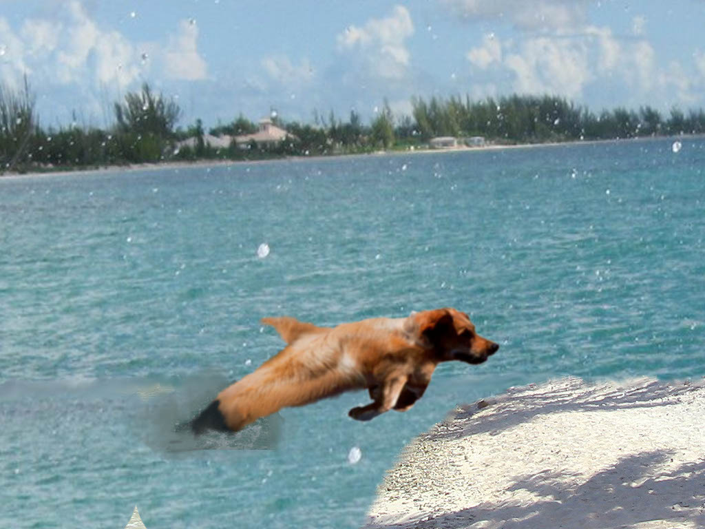 Diseño de Photoshop por anon1812 para DesignCrowd (Community Contests) | Diseño #8976167