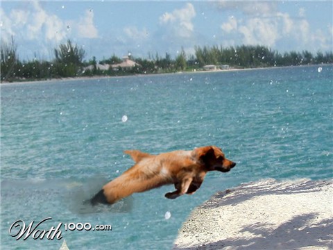 Photoshop Design by anon1812