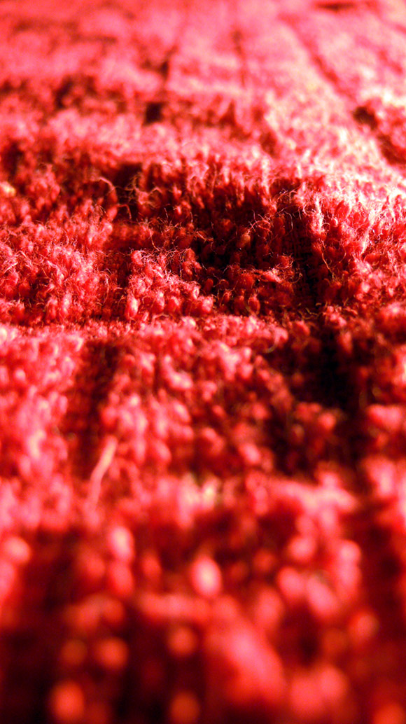 Photography by sausirhi for DesignCrowd (Community Contests) | Design #8969510